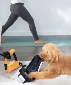 Frisco Treadmill & Bike Plush Squeaky Dog Toy, 2 count 7 Frisco Treadmill & Bike Plush Squeaky Dog Toy, 2 count -PetNest Shop 288921 PT3. SY630 V1638290517