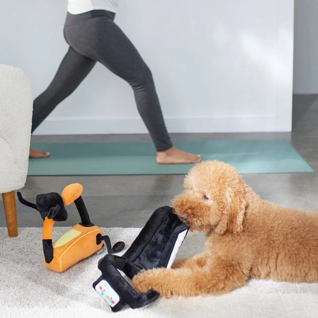 Frisco Treadmill & Bike Plush Squeaky Dog Toy, 2 count 5 Frisco Treadmill & Bike Plush Squeaky Dog Toy, 2 count - Image 3