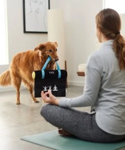 Frisco Yoga Mat Plush Squeaky Dog Toy -PetNest Shop 288923 PT3. SY630 V1638290551