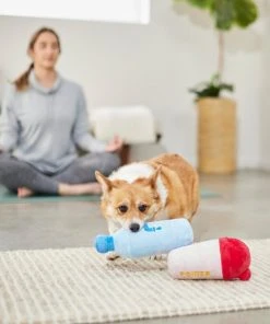 Frisco Protein & Water Bottle Cruncher Dog Toy, 2 count -PetNest Shop 288927 PT3. SY630 V1638291847