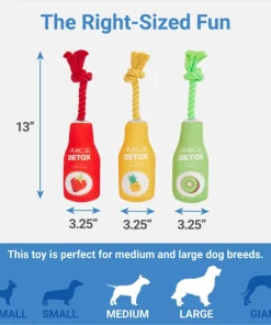 Frisco Juice Cleanse Plush Squeaky Dog Toy, 3 count -PetNest Shop 288929 PT1. SY630 V1640722486