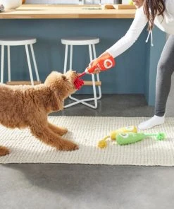 Frisco Juice Cleanse Plush Squeaky Dog Toy, 3 count -PetNest Shop 288929 PT3. SY630 V1638289348