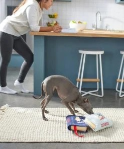 Frisco Cookbooks Plush Squeaky Dog Toy, 2 count -PetNest Shop 288937 PT3. SY630 V1638287852