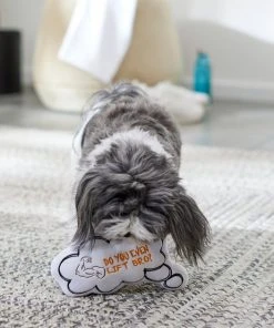 Frisco Message Bubble Plush Squeaky Dog Toy -PetNest Shop 288941 PT3. SY630 V1638289328