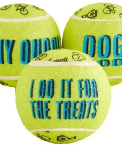 Frisco Motivational Tennis Balls Plush Squeaky Dog Toy, 3 count