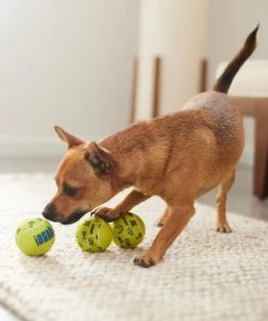 Frisco Motivational Tennis Balls Plush Squeaky Dog Toy, 3 count -PetNest Shop 288943 PT3. SY630 V1638288373