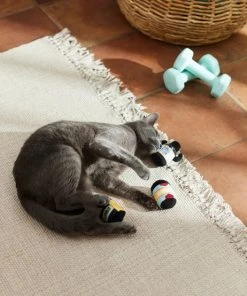 Frisco Pre-Workout & Protein Plush Cat Toy with Catnip, 3 count -PetNest Shop 288953 PT3. SY630 V1638287817