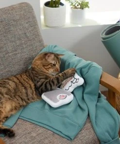 Frisco Scale & Message Bubble Plush Cat Toy with Catnip, 2 count 7 Frisco Scale & Message Bubble Plush Cat Toy with Catnip, 2 count -PetNest Shop 288959 PT3. SY630 V1638288401