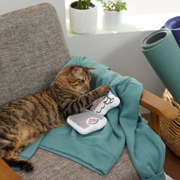 Frisco Scale & Message Bubble Plush Cat Toy with Catnip, 2 count 5 Frisco Scale & Message Bubble Plush Cat Toy with Catnip, 2 count - Image 3