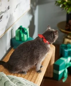 Frisco Holiday Hombre Cat Collar With Bow, Red, 8 - 12 inches, 3/8-in wide -PetNest Shop 289696 PT8. SY630 V1632189993