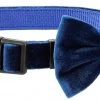 Frisco Velvet Dog Collar With Removeable Velvet Bow 1 Frisco Velvet Dog Collar With Removeable Velvet Bow -PetNest Shop 289734 MAIN. SY630 V1632185202