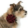 Frisco Removeable Collar Flower, Buffalo Check -PetNest Shop 289802 MAIN. SY630 V1632186286