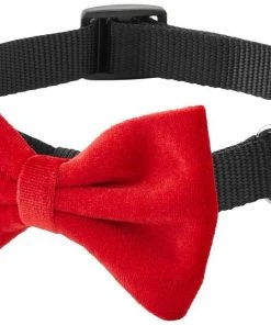 Frisco Removeable Velvet Collar Bow -PetNest Shop 289810 PT5. SY630 V1632186369