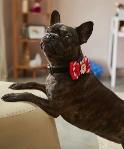 Frisco Removeable Santa & Stripes Collar Bow, XS/SM -PetNest Shop 289829 PT8. SY630 V1632188889