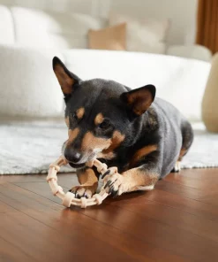 Frisco Nylon Ring Dog Chew Toy, Chicken Flavor, Medium -PetNest Shop 290533 PT3. SY630 V1635369395