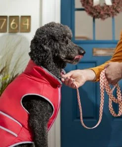 Frisco Fantastic Foxes Dog Leash 9 Frisco Fantastic Foxes Dog Leash -PetNest Shop 291242 PT3. SY630 V1629487758