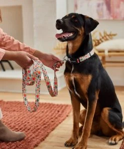 Frisco Mountain Leaves Dog Leash -PetNest Shop 291251 PT3. SY630 V1629488355