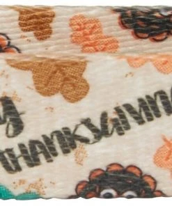 Frisco Thanksgiving Turkey Dog Collar -PetNest Shop 291255 PT2. SY630 V1628009242 scaled