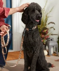 Frisco Thanksgiving Turkey Dog Leash -PetNest Shop 291274 PT3. SY630 V1632337005