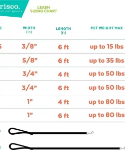 Frisco Thanksgiving Turkey Dog Leash -PetNest Shop 291274 PT5. SY630 V1632336980