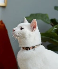 Frisco Thanksgiving Turkey Cat Collar, 8-12 Inches, 3/8-in wide 7 Frisco Thanksgiving Turkey Cat Collar, 8-12 Inches, 3/8-in wide -PetNest Shop 291323 PT3. SY630 V1629771382