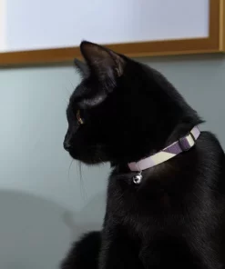 Frisco Purple Colorblock Cat Collar, 8-12 Inches, 3/8-in wide -PetNest Shop 291327 PT3. SY630 V1629771214