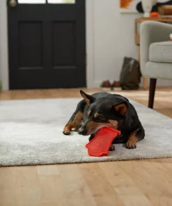 Frisco Nylon Headstone Halloween Dog Chew Toy, Peanut Butter Flavor, Medium -PetNest Shop 291383 PT3. SY630 V1623179554