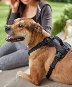 Frisco Monochromatic Dog Harness -PetNest Shop 291550 PT8. SY630 V1633121185