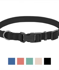 Frisco Monochromatic Dog Collar
