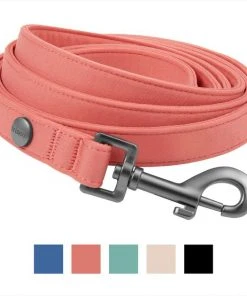 Frisco Monochromatic Dog Leash