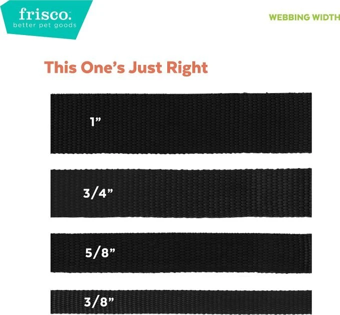 Frisco Monochromatic Dog Leash 5 Frisco Monochromatic Dog Leash - Image 3