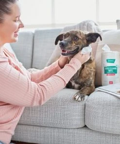 Frisco Gentle Cleaning Waterless Grooming Wipes for Puppies & Kittens, Green Tea Scent 12 Frisco Gentle Cleaning Waterless Grooming Wipes for Puppies & Kittens, Green Tea Scent -PetNest Shop 291592 PT4. SY630 V1627306695