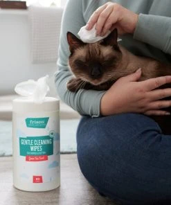 Frisco Gentle Cleaning Waterless Grooming Wipes for Puppies & Kittens, Green Tea Scent 13 Frisco Gentle Cleaning Waterless Grooming Wipes for Puppies & Kittens, Green Tea Scent -PetNest Shop 291592 PT5. SY630 V1627306905