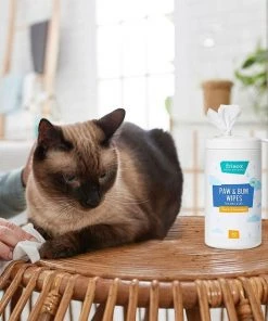 Frisco Deodorizing Paw & Bum Waterless Grooming Wipes for Dogs & Cats -PetNest Shop 291593 PT5. SY630 V1627653728