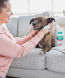 Frisco Hypoallergenic Waterless Grooming Wipes for Dogs & Cats, Soothing Chamomile, 80 count 12 Frisco Hypoallergenic Waterless Grooming Wipes for Dogs & Cats, Soothing Chamomile, 80 count -PetNest Shop 291595 PT4. SY630 V1627306706