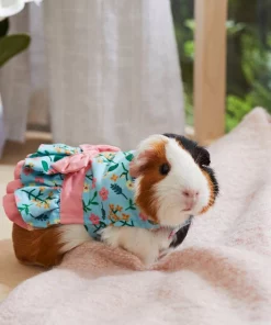 Frisco Guinea Pig Floral Dress -PetNest Shop 292200 PT4. SY630 V1641540431