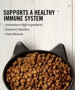 American Journey||Frisco American Journey Turkey & Chicken Recipe Grain-Free Dry Food + Frisco Cat Tracks Butterfly Cat Toy -PetNest Shop 292648 PT3. SY630 V1619999228