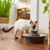 Frisco Ceramic Dog & Cat Fountain, Gray, 64-oz -PetNest Shop 297218 MAIN. SY630 V1633549648