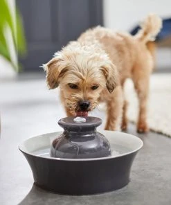 Frisco Ceramic Dog & Cat Fountain, Gray, 64-oz -PetNest Shop 297218 PT4. SY630 V1633549585