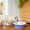 Frisco Ceramic Whale Dog & Cat Water Fountain, Blue, 64-oz