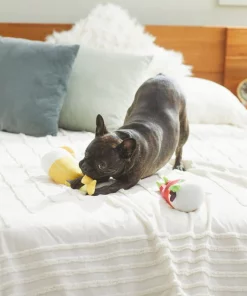 Frisco Brunch Bottomless Mimosas Plush Squeaky Dog Toy, 2 count -PetNest Shop 297226 PT2. SY630 V1642088368