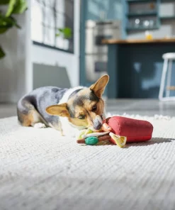 Frisco Brunch Bloody Mary Plush Squeaky Dog Toy -PetNest Shop 297228 PT2. SY630 V1642088343