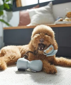 Frisco Brunch Coffee Pitcher Plush with Rope Squeaky Dog Toy -PetNest Shop 297234 PT2. SY630 V1642088693