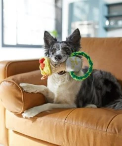 Frisco Brunch Breakfast Burrito Plush with Rope Squeaky Dog Toy 7 Frisco Brunch Breakfast Burrito Plush with Rope Squeaky Dog Toy -PetNest Shop 297238 PT2. SY630 V1642088670