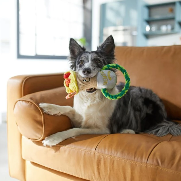 Frisco Brunch Breakfast Burrito Plush with Rope Squeaky Dog Toy 5 Frisco Brunch Breakfast Burrito Plush with Rope Squeaky Dog Toy - Image 3