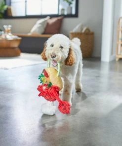 Frisco Brunch Lobster Roll Plush with Rope Squeaky Dog Toy -PetNest Shop 297240 PT2. SY630 V1642088431