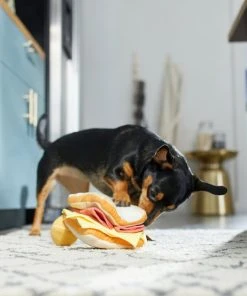 Frisco Brunch Egg in Hole 2-in-1 Plush Squeaky Dog Toy -PetNest Shop 297246 PT3. SY630 V1642089088