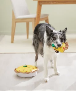 Frisco Brunch Quiche 2-in-1 Plush Squeaky Dog Toy -PetNest Shop 297248 PT3. SY630 V1642089163