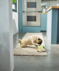 Frisco Brunch Avocado Toast Plush Squeaky Dog Toy -PetNest Shop 297252 PT2. SY630 V1642088891