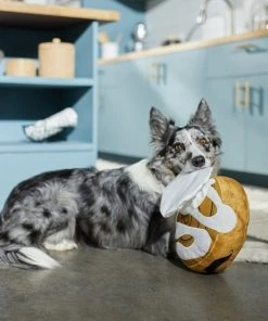 Frisco Brunch Cinnamon Roll Jumbo Plush Squeaky Dog Toy -PetNest Shop 297260 PT2. SY630 V1642089012